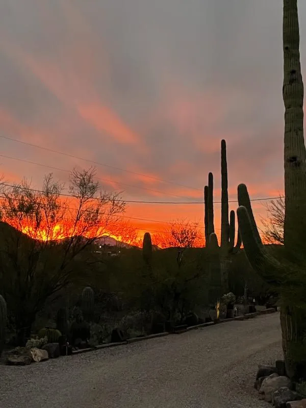 Blackswan Locksmith Co.