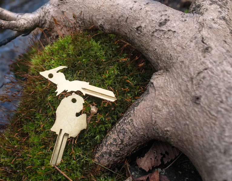 Hoogerhyde Safe & Lock