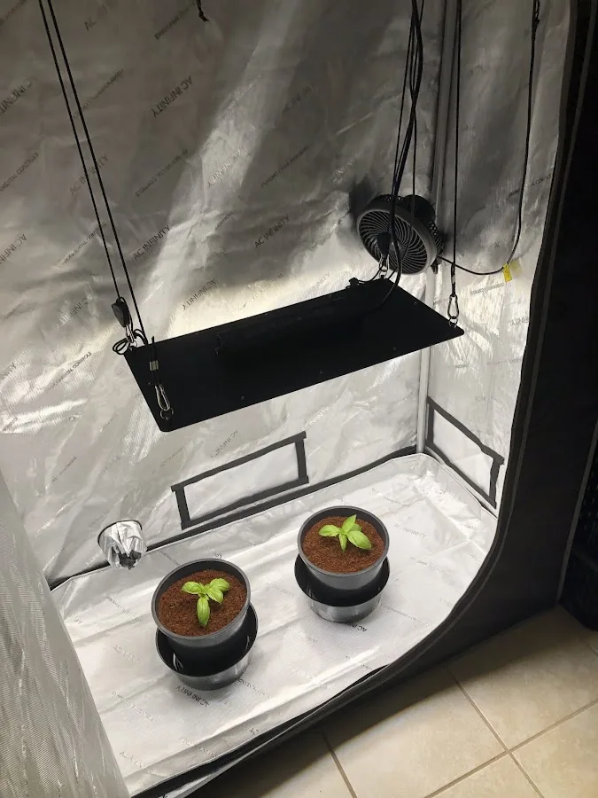 Sandfly Locksmith, Inc.