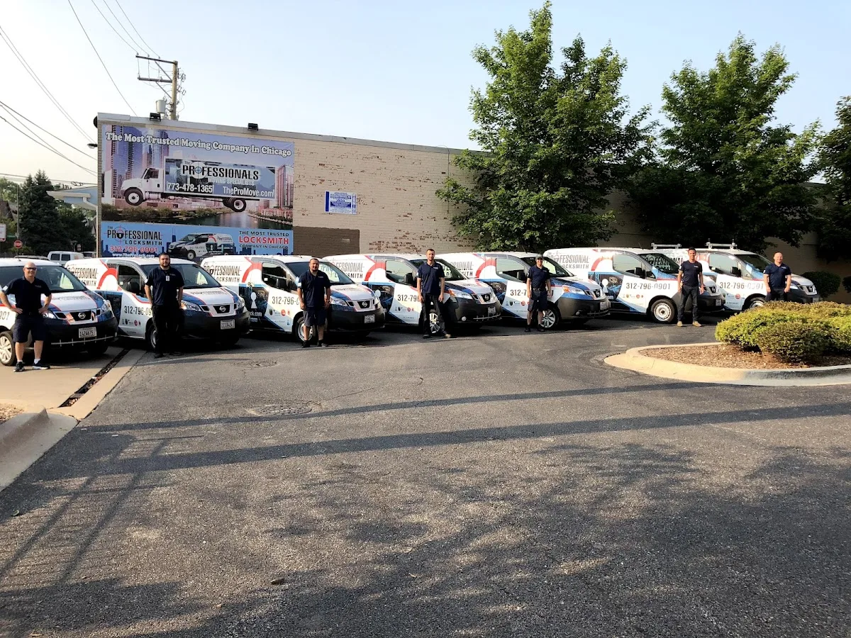 The Professional Locksmith